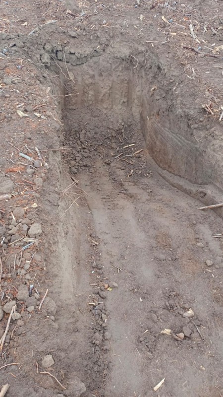 Se Vende: Terreno de 250 Hectáreas en las Cercanías de Parra