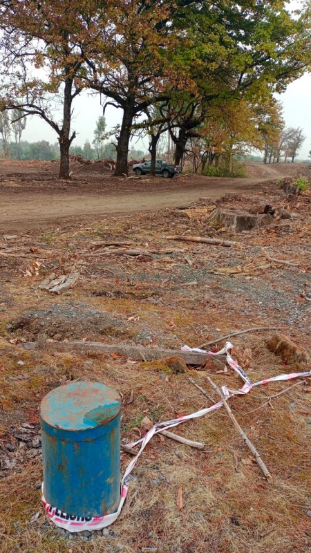 Se Vende: Terreno de 250 Hectáreas en las Cercanías de Parra