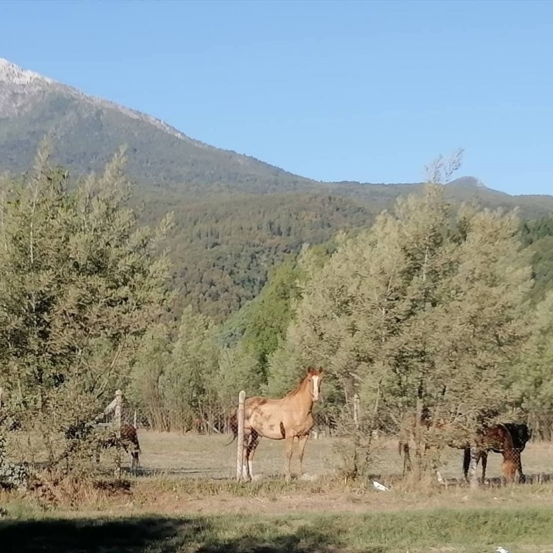 Vendo Terreno en San Fabián de Alico, Región de Ñuble