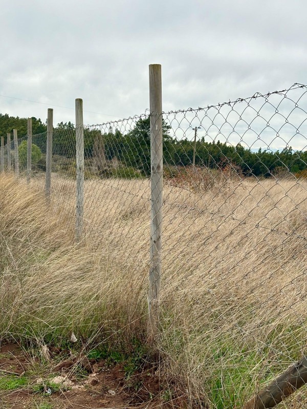 Vendo Terreno en San Nicolás