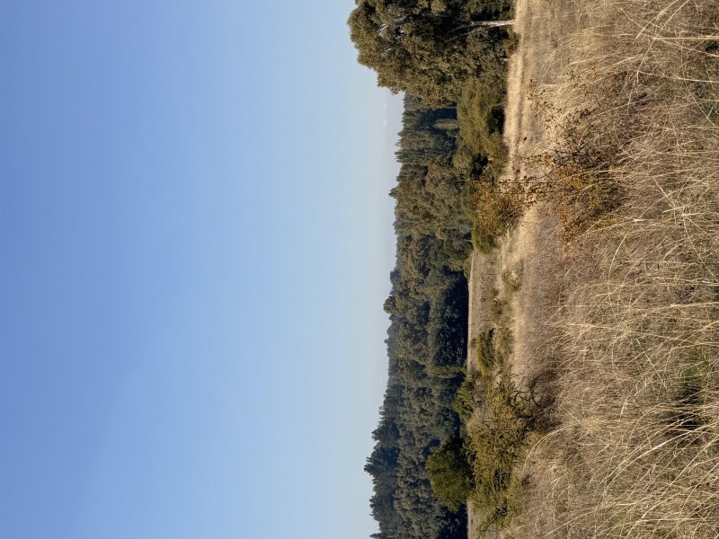 Se Vende Lote, Sector Huechupín, Comuna de Chillán.