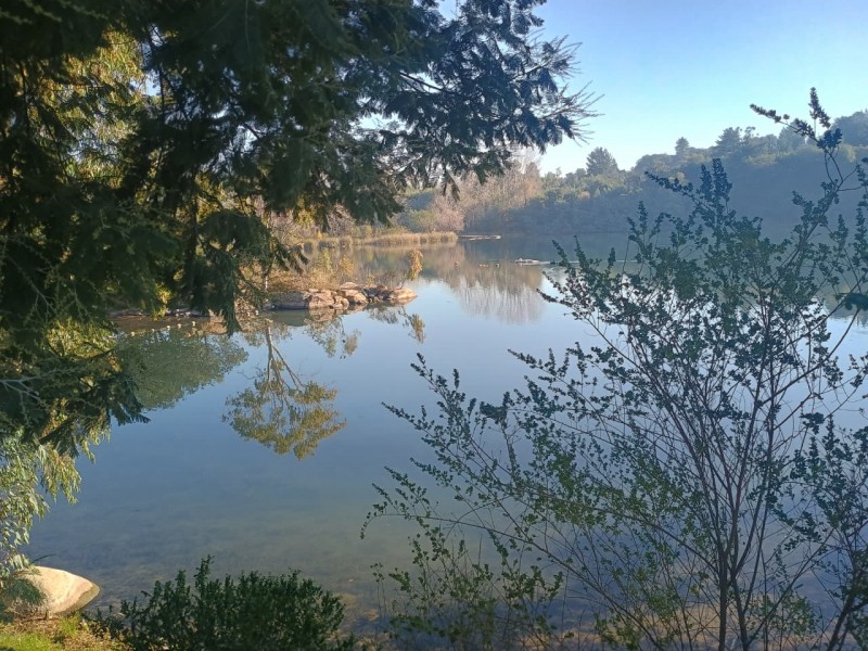 Arriendo Cabaña, Sector Privilegiado en Laguna de Quillón.