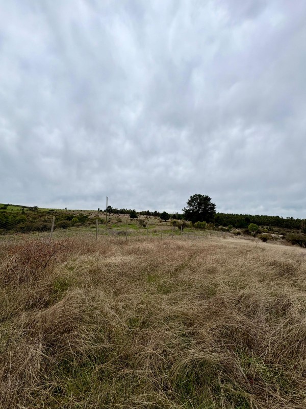 Vendo Terreno en San Nicolás