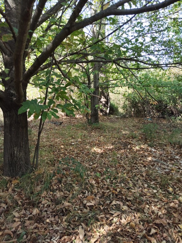 Vendo Terreno en San Fabián de Alico, Región de Ñuble