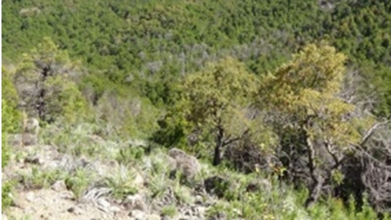 Se Vende Terreno Agrícola, Cercano A el Carmen