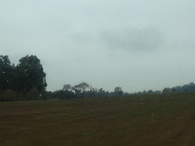 Vendo Parcelas en Sector Ñuble Alto