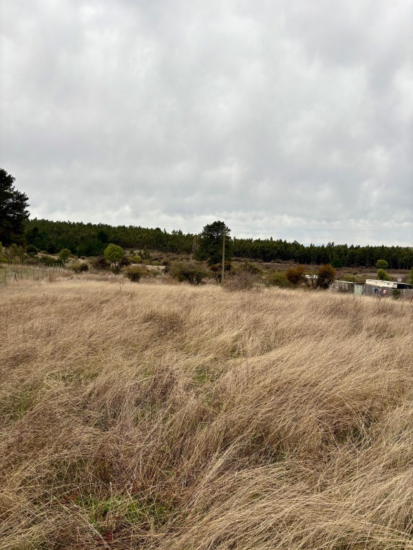 Vendo Terreno en San Nicolás
