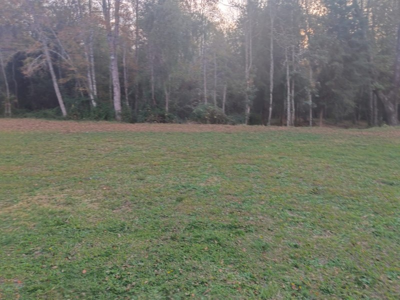 Vendo Propiedad Cercano A San Fabián de Alico