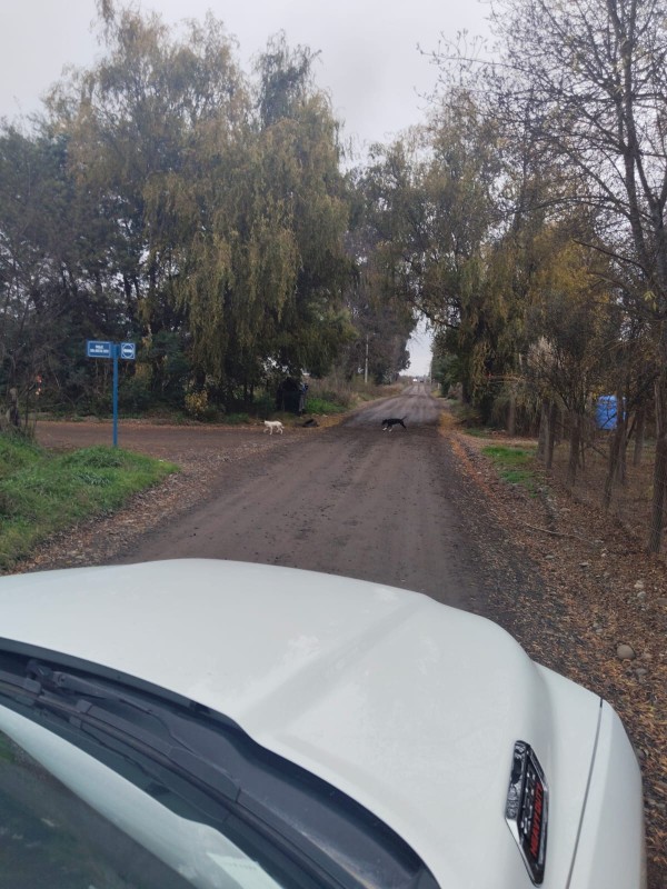 Vendo Terreno Cerca del Aeródromo Chillán