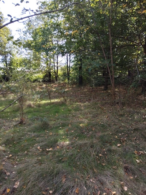 Vendo Terreno en San Fabián de Alico, Región de Ñuble