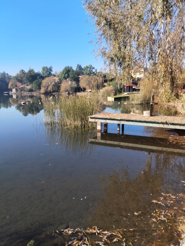 Arriendo Casa Con Acceso A Laguna