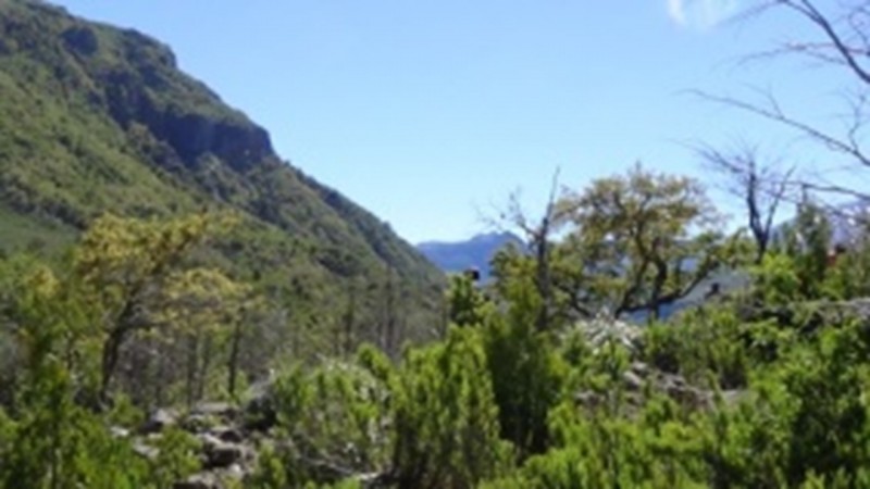 Se Vende Terreno Agrícola, Cercano A el Carmen