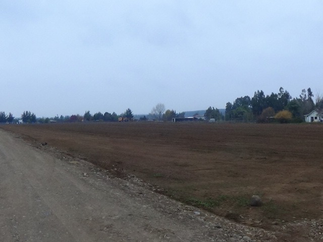 Vendo Parcelas en Sector Ñuble Alto