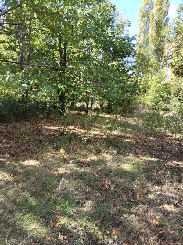 Vendo Terreno en San Fabián de Alico, Región de Ñuble