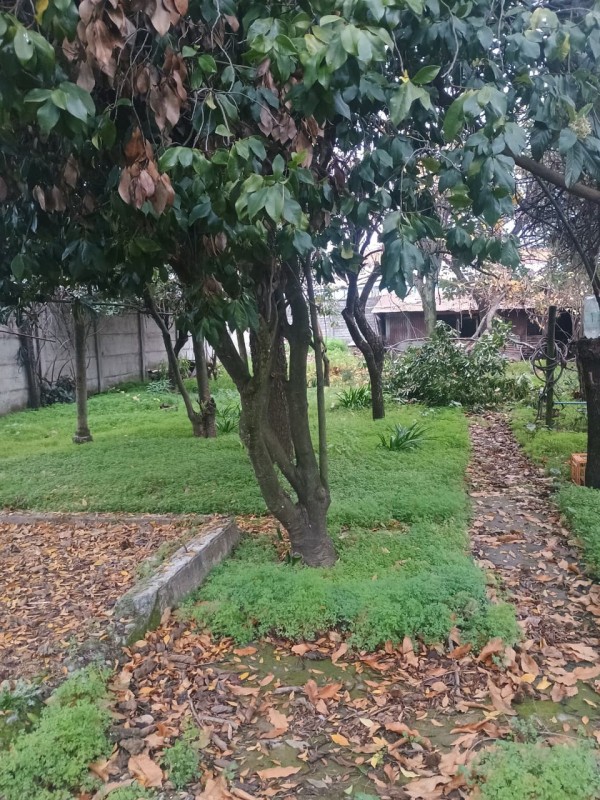 Vendo Propiedad Cercano A la Plaza de Armas de San Carlos
