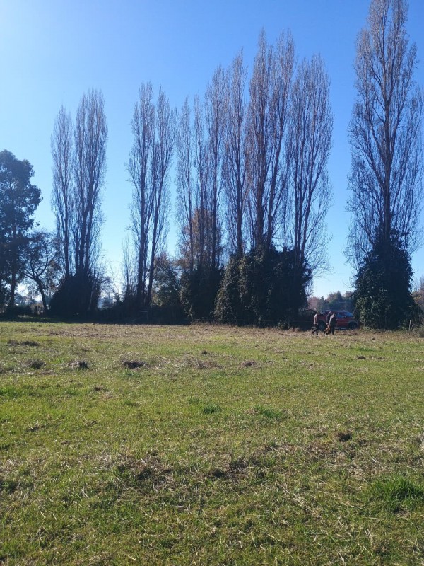Vendo Terreno de 3 Hectáreas en San Ignacio