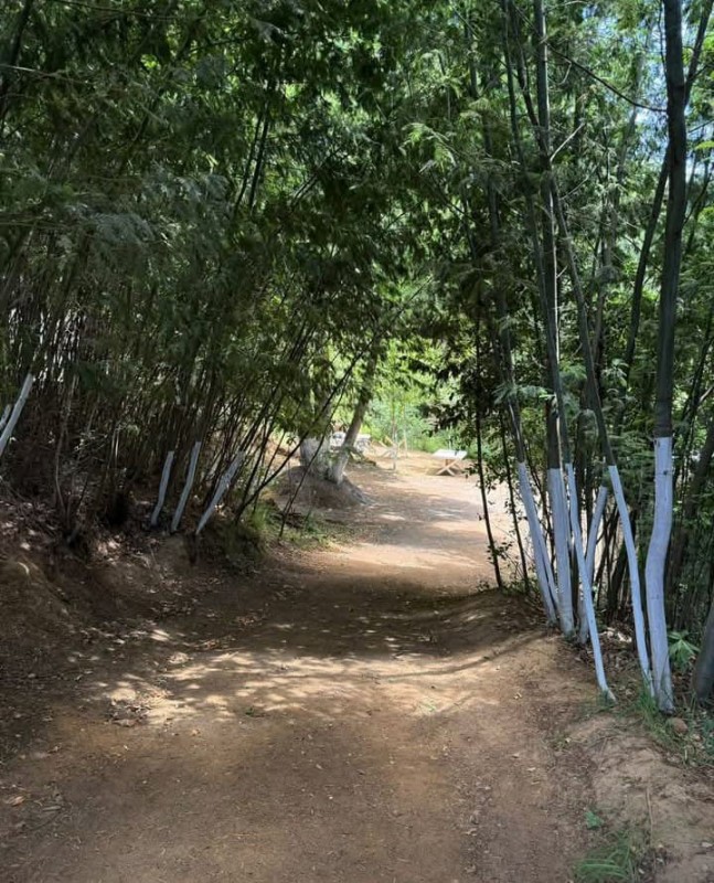 Se Vende Parcela Con Vivienda en Yungay