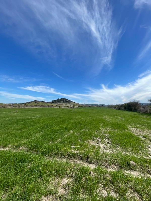 Vendo Propiedad en Cercanías de Parral.
