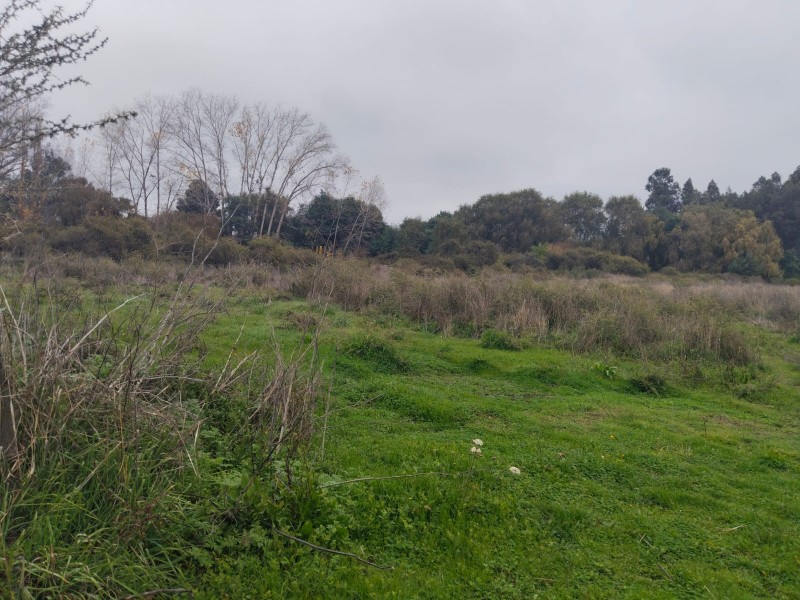 Vendo Terreno Cerca del Aeródromo Chillán