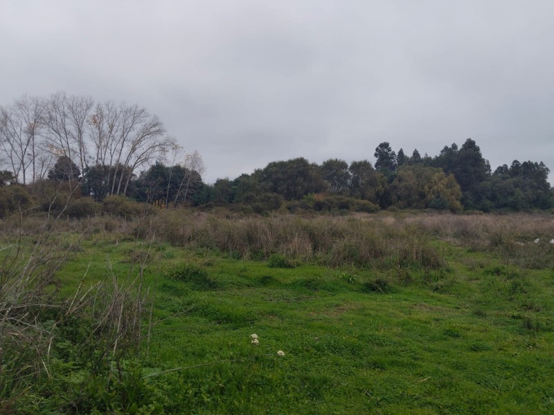 Vendo Terreno Cerca del Aeródromo Chillán