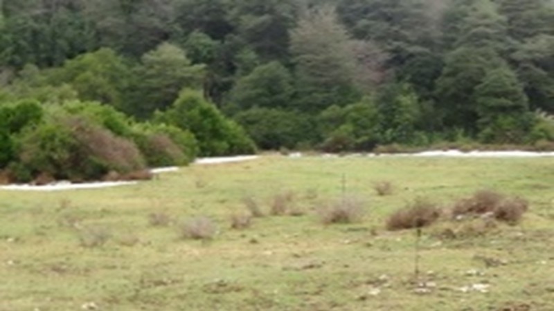 Se Vende Terreno Agrícola, Cercano A el Carmen