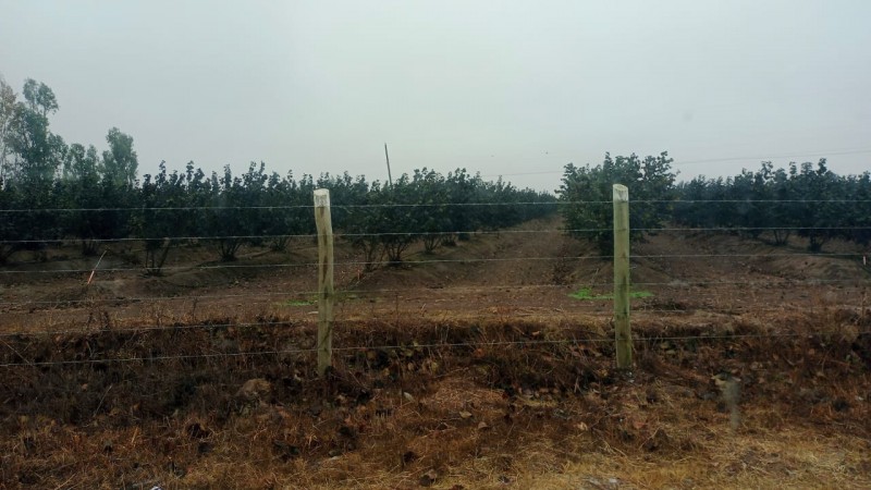 Se Vende: Terreno de 250 Hectáreas en las Cercanías de Parra