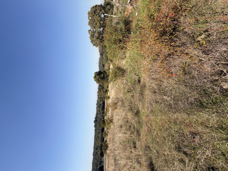 Se Vende Lote, Sector Huechupín, Comuna de Chillán.