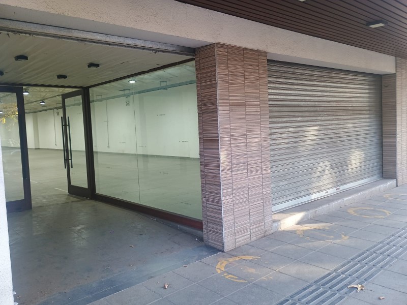 Arriendo Propiedad Cercano Plaza de San Carlos..
