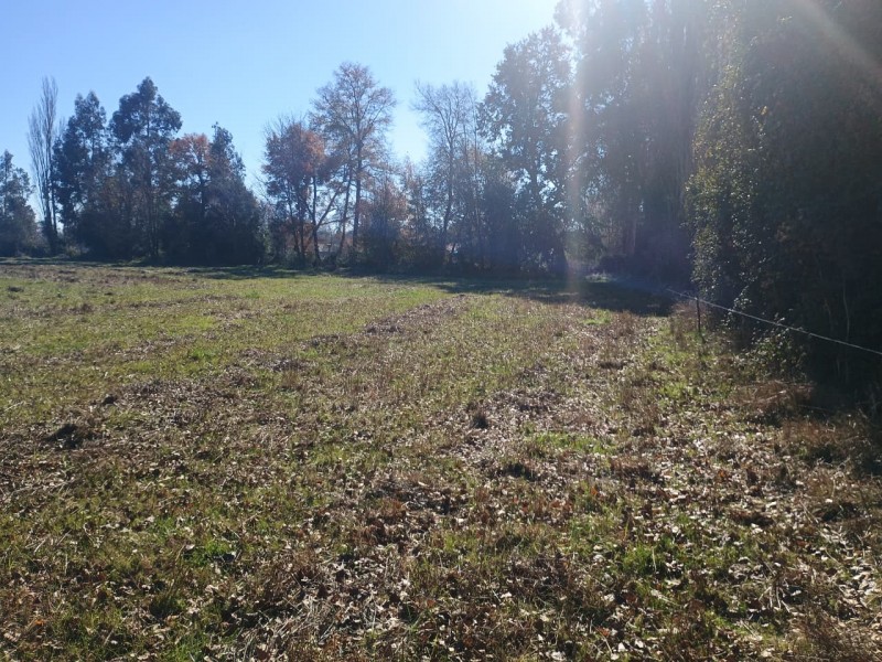 Vendo Terreno de 3 Hectáreas en San Ignacio