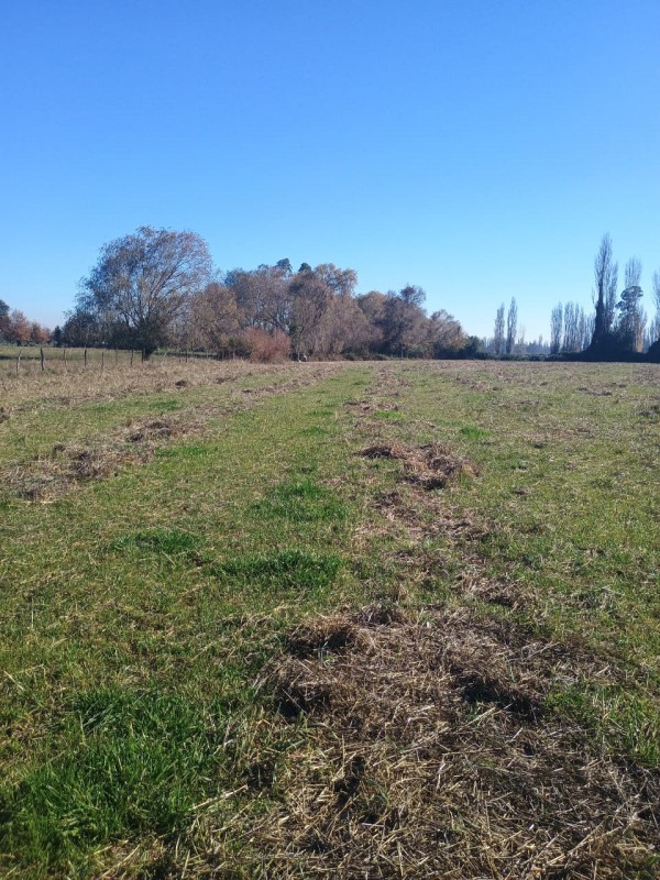 Vendo Terreno de 3 Hectáreas en San Ignacio