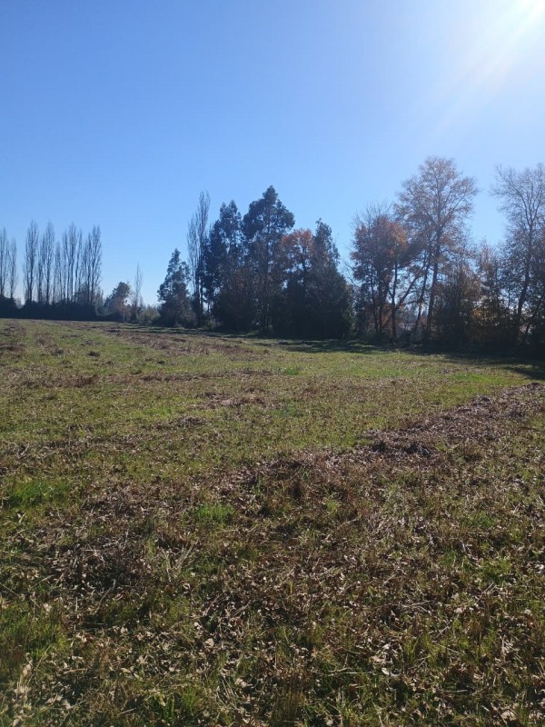 Vendo Terreno de 3 Hectáreas en San Ignacio