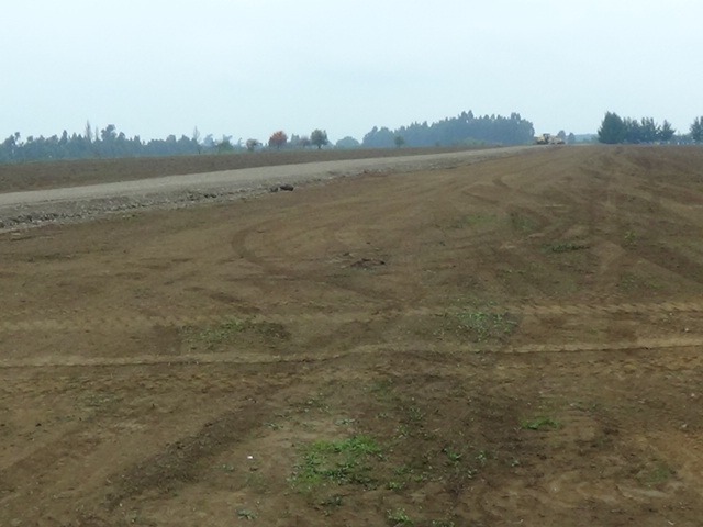Vendo Parcelas en Sector Ñuble Alto