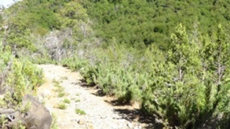 Se Vende Terreno Agrícola, Cercano A el Carmen