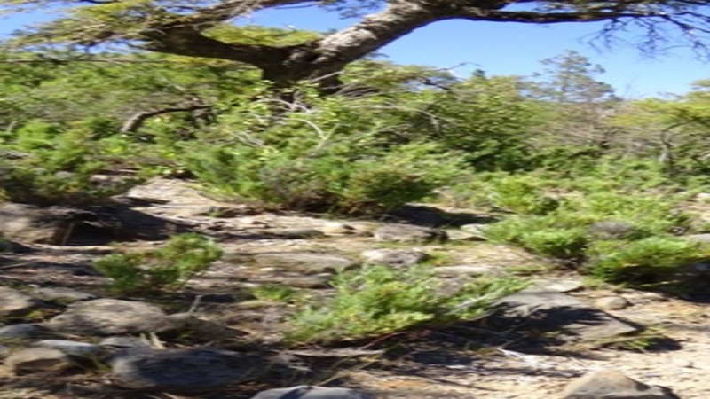 Se Vende Terreno Agrícola, Cercano A el Carmen