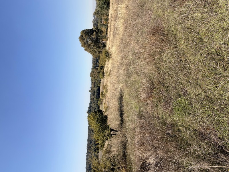 Se Vende Lote, Sector Huechupín, Comuna de Chillán.