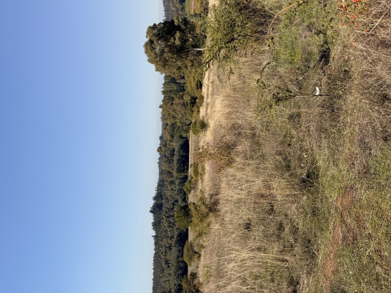 Se Vende Lote, Sector Huechupín, Comuna de Chillán.