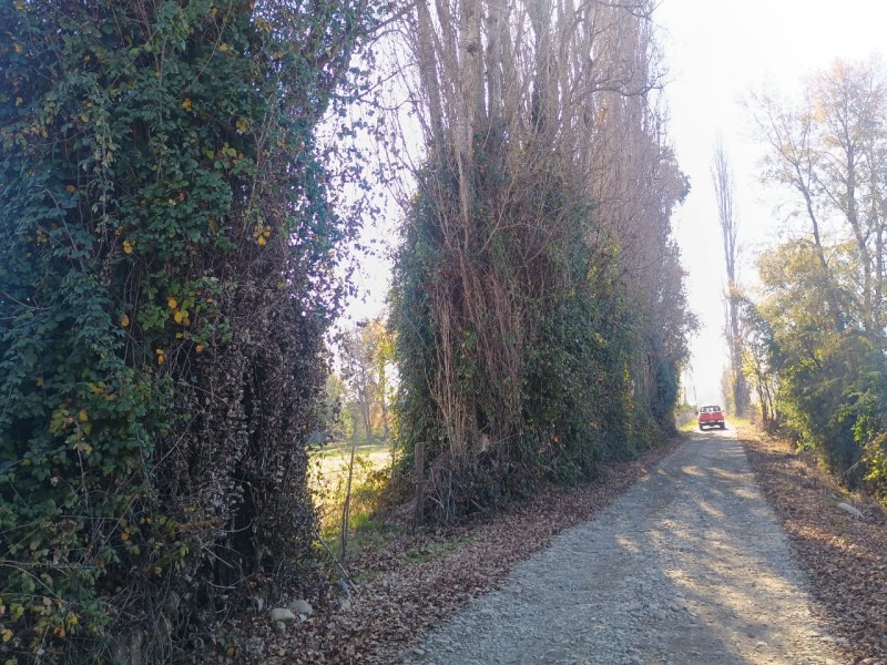 Vendo Terreno de 3 Hectáreas en San Ignacio