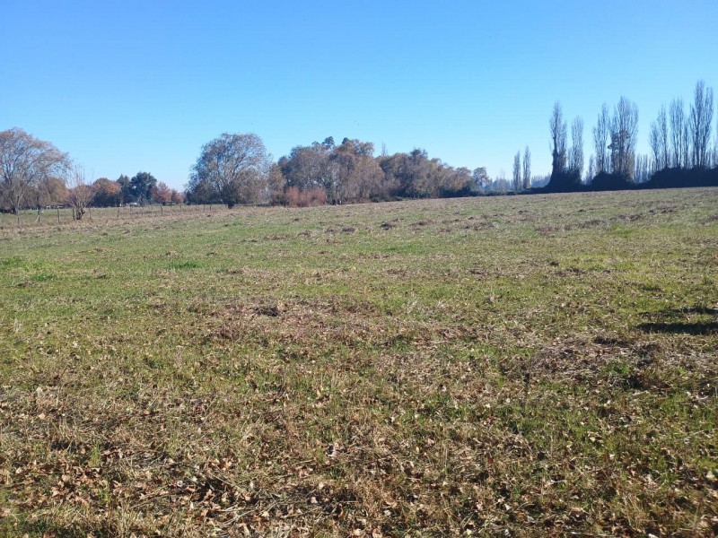 Fotografía de Vendo Terreno de 3 Hectáreas en San Ignacio