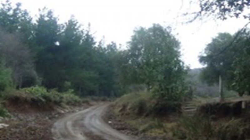 Se Vende Terreno Agrícola, Cercano A el Carmen