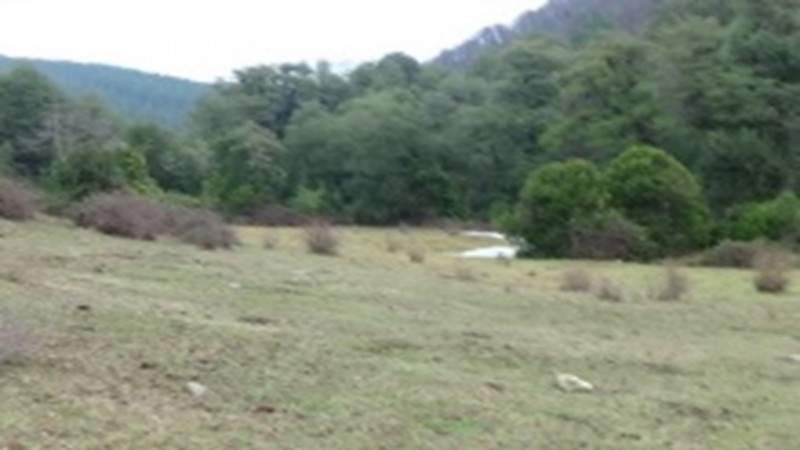 Se Vende Terreno Agrícola, Cercano A el Carmen