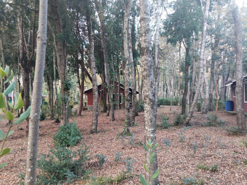 Vendo Propiedad Cercano A San Fabián de Alico