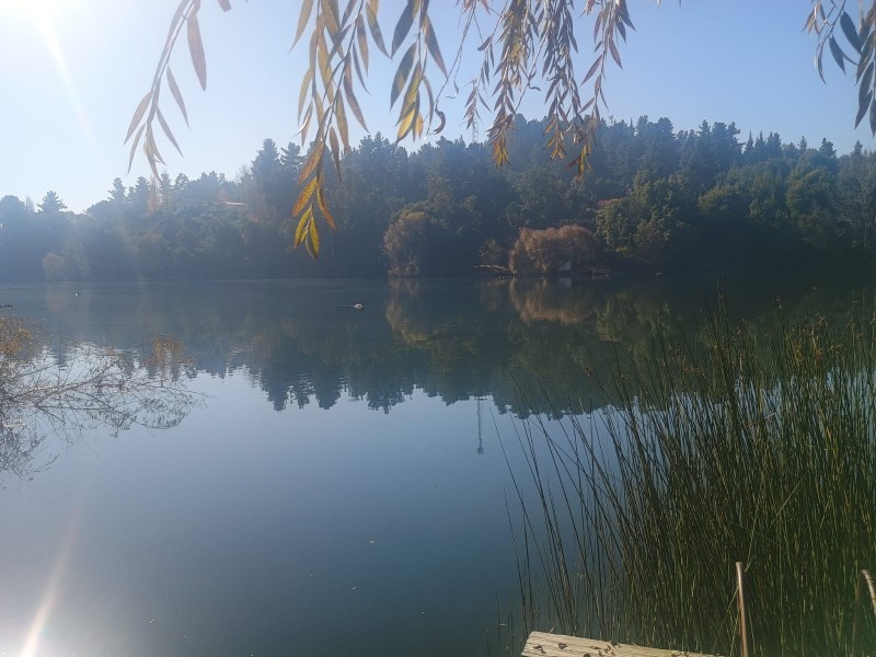 Arriendo Casa Con Acceso A Laguna en Quillón