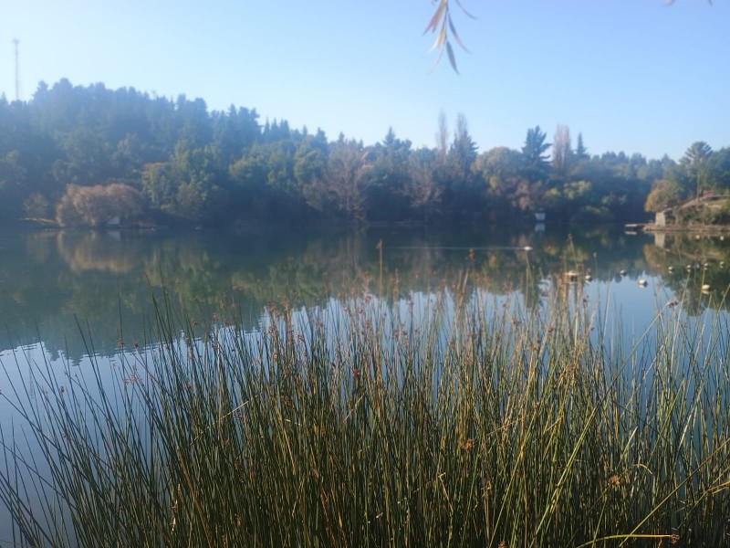Arriendo Casa Con Acceso A Laguna en Quillón