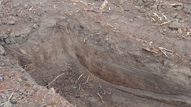 Se Vende: Terreno de 250 Hectáreas en las Cercanías de Parra