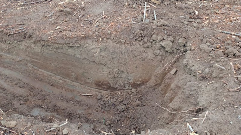 Se Vende: Terreno de 250 Hectáreas en las Cercanías de Parra