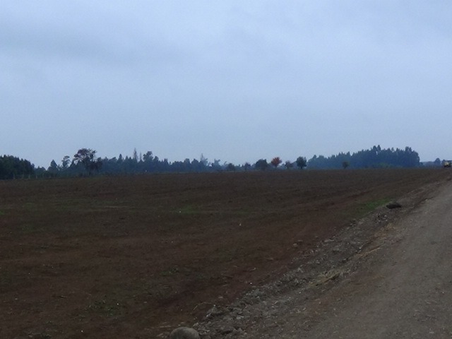 Vendo Parcelas en Sector Ñuble Alto