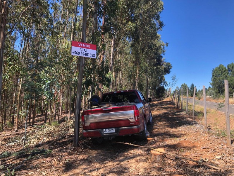 Fotografía de Vendo Parcela en Lucumavida Sur