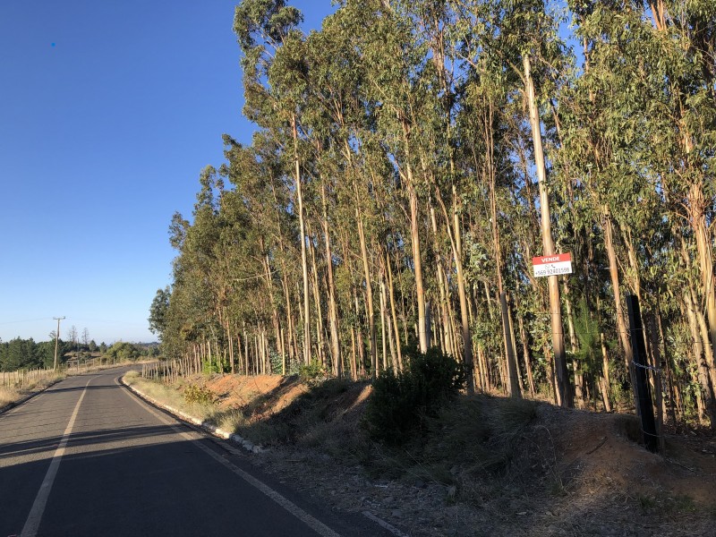 Vendo Parcela en Lucumavida Sur