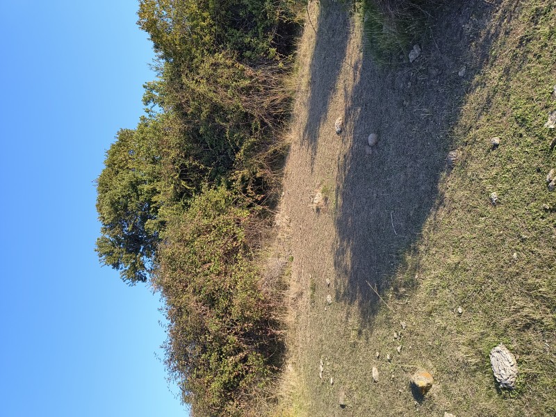 una Hectárea en Pumaiten Romeral