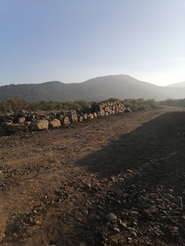 Fotografía de una Hectárea en Pumaiten Romeral
